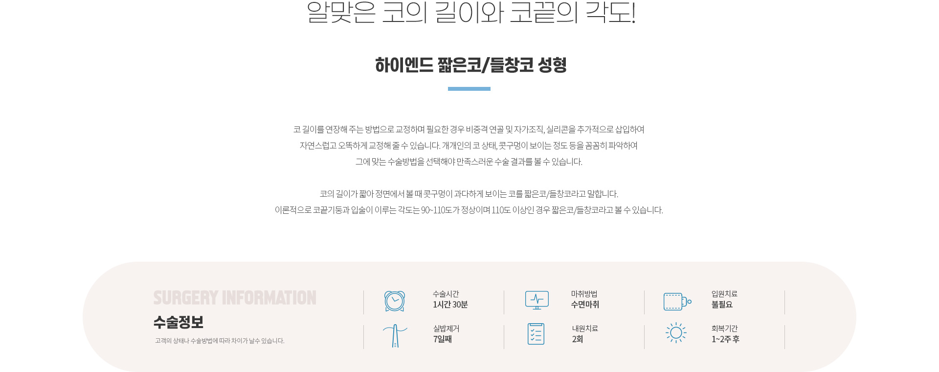 하이엔드 유형별 코성형 짧은코/들창코