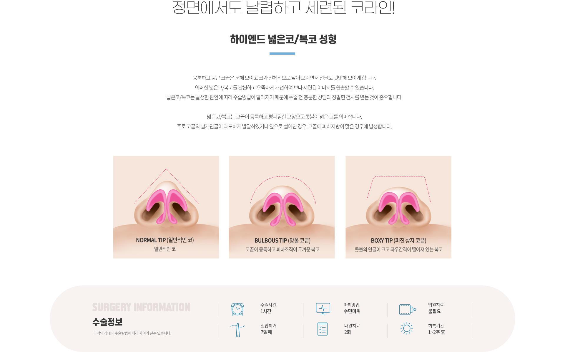하이엔드 유형별 코성형 넓은코/복코