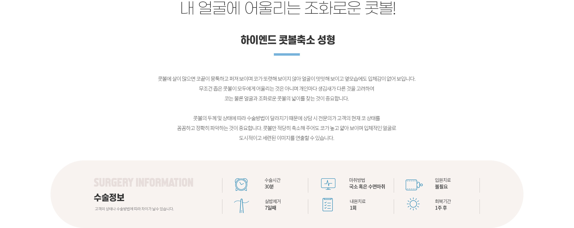 하이엔드 유형별 코성형 콧볼축소